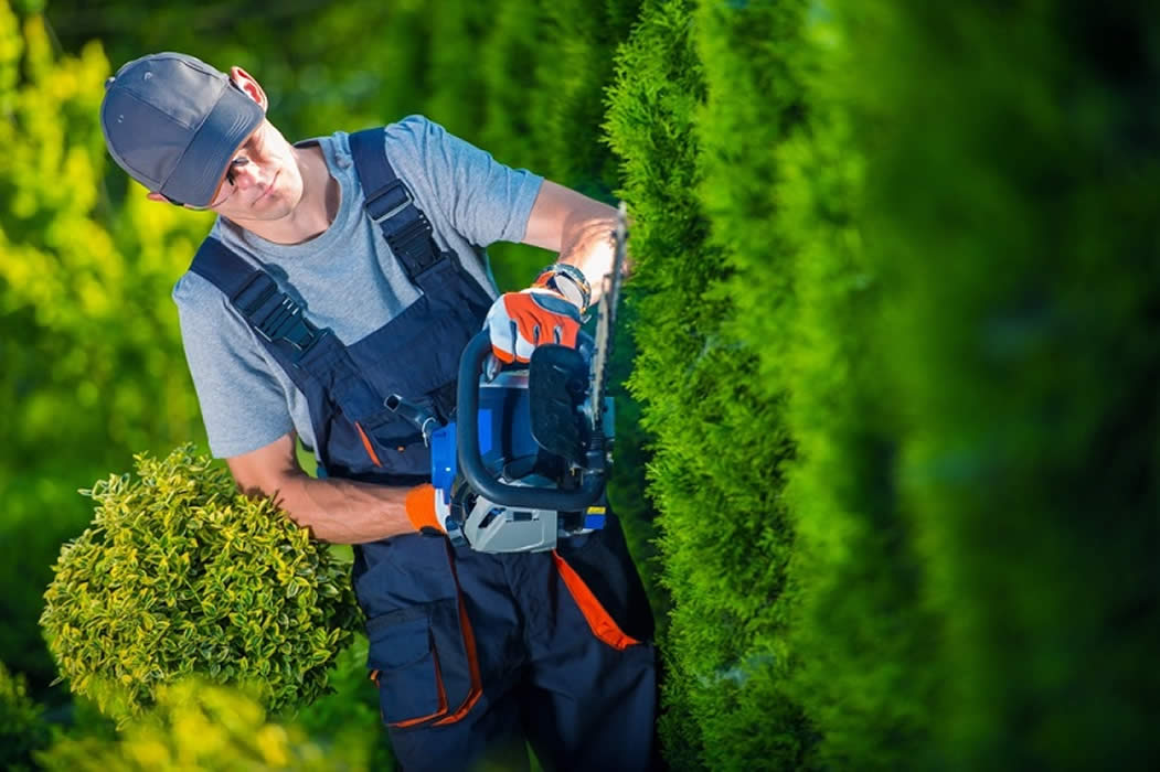 Giardinaggio e manutenzione giardini